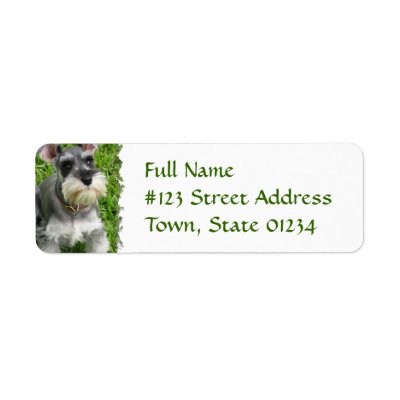 Return Address Labels on Miniature Schnauzer Return Address Label By Dogpoundgifts