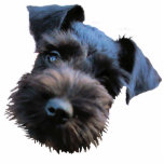 Miniature Schnauzer Sculpture Keychain Photo Cutout