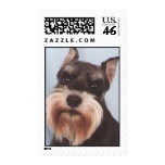 Miniature Schnauzer Stamp