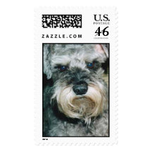 Miniature Schnauzer Stamps