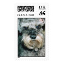 Miniature Schnauzer Stamps