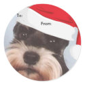 Miniature Schnauzer To/From Christmas stickers by malibuitalian Miniature Schnauzer To/From Christmas stickers