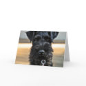 Miniature Schnauzer Valentine's Day Greeting Card by karykid Miniature Schnauzer Valentine's Day Greeting Card