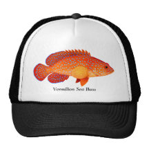 Miniatus Grouper Vermilion Sea Bass Hat