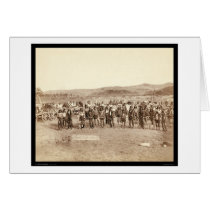 Miniconjou Indian at Grass Dance SD 1890 cards
