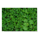 Minigrass posters by Bugmaster Minigrass posters