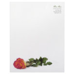 Minimal Modern Red Yellow Rose Personal Letterhead