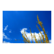Minimalistic Sky posters by eriatarka1983 Minimalistic Sky posters