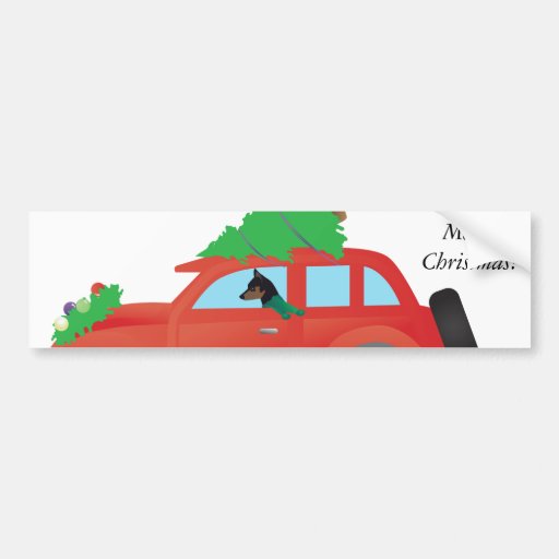 mininature pinscher driving a christmas car bumper sticker mininature pinscher driving a christmas car bumper sticker