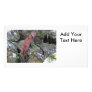 Mink Photo Photo Card Template