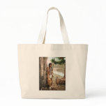 Minnehaha 1897 bags