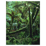 Minnehaha Walk, The Fox Rain Forest Custom Flyer