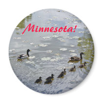 Minnesota Ducks magnets by archemedes Minnesota Ducks magnets