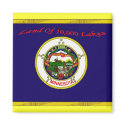 Minnesota Flag Magnet