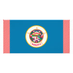 Minnesota Flag