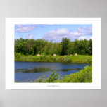 Minnesota lake rock family from Rockville MN Posters
