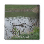 Minnesota
