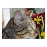 Minnie at Easter Note Card