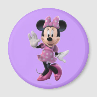 minnie mouse refrigerator toy