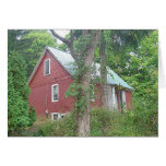 Minnie's Place Greeting Cards