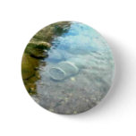 Minnow Trap buttons