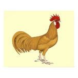 Minorca:  Buff Rooster Print