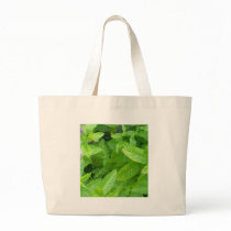 Mint bags by chemistrycourtney Mint bags