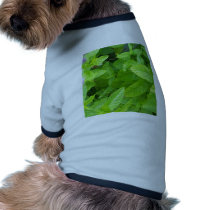 Mint pet clothing