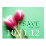 Mint Green and Fuchsia Save the Date Postcard