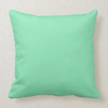 Mint Green Background on a Pillow