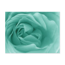 MINT GREEN Close Up of a Frilly Rose postcards by JaclinArt MINT GREEN Close Up of a Frilly Rose postcards