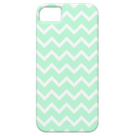Mint Green Zigzag Stripes. iPhone 5 Case
