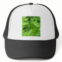 Mint hats