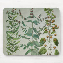 Mint: Mentha crispa Mousepads