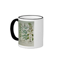 Mint: Mentha crispa Coffee Mugs