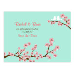 Mint & Pink Cherry Blossom Wedding Save the Date postcards
