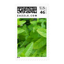 Mint postage