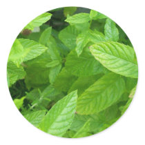 Mint stickers
