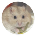 Mint Tea (sticker)