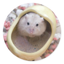 Mint Tea (sticker)