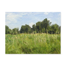 Minto Island Postcard