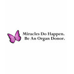 Miracle Butterfly