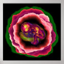 Miracle of Life posters