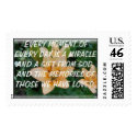 MIRACLE POSTAGE STAMP by skywatcher MIRACLE POSTAGE STAMP