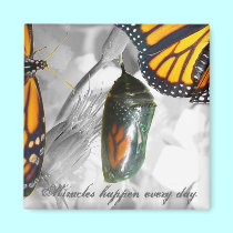 Miracles happen every day Magnet magnets