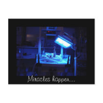 Miracles happen... postcards