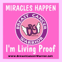 MIRACLES POSTER posters