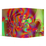 Mirador I · Fractal Art · Red & Green binders
