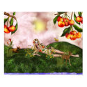 Miranda the Elven Beauty Poster posters