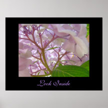 Mire el Hydrangea curativo del tacto de la impresi Impresiones